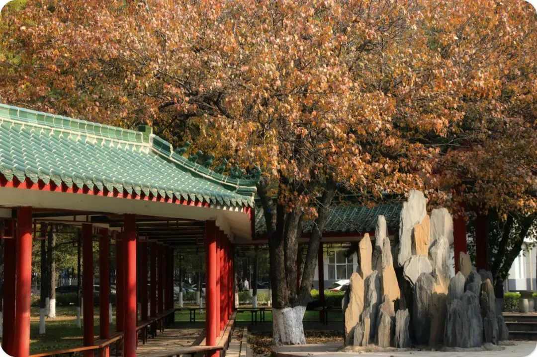 篮球训练术语英文翻译怎么写_0